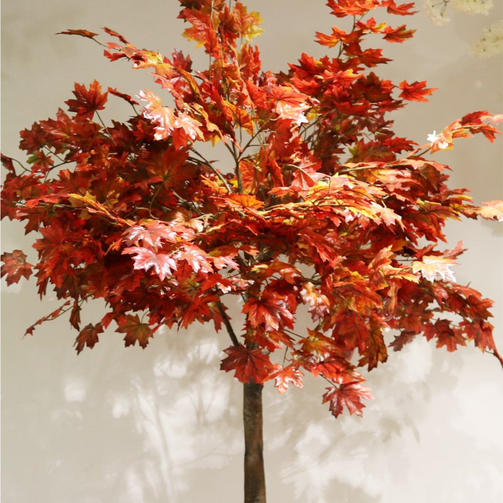 1.8m Autumn