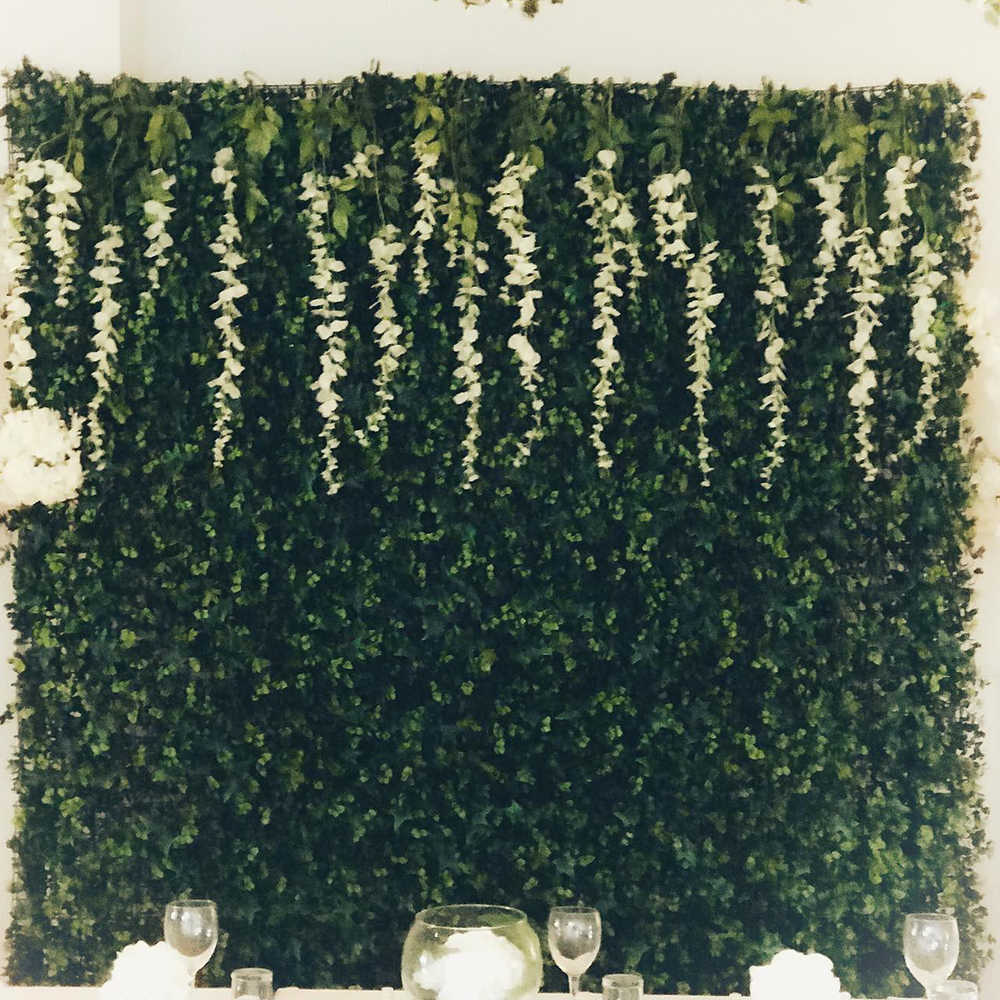hedge wall with wisteria